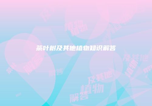 茶叶树及其他植物知识解答