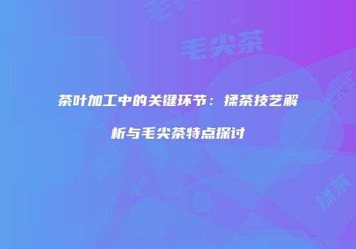 茶叶加工中的关键环节：揉茶技艺解析与毛尖茶特点探讨