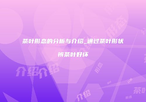 茶叶形态的分析与介绍_通过茶叶形状辨茶叶好坏