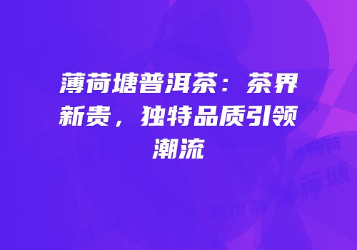 薄荷塘普洱茶：茶界新贵，独特品质引领潮流