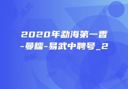 2020年勐海第一香-曼糯-易武中聘号_2