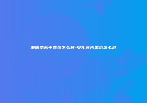 湖南浩茗千两茶怎么样-安化茗片黑茶怎么泡
