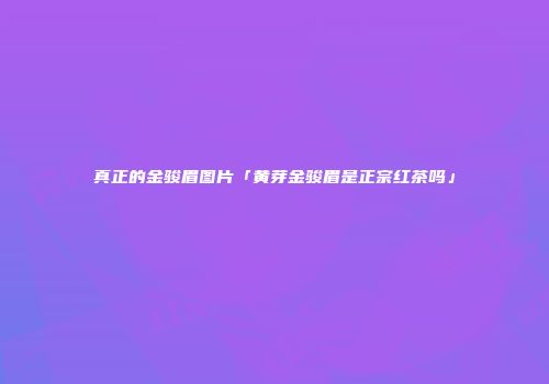 真正的金骏眉图片「黄芽金骏眉是正宗红茶吗」