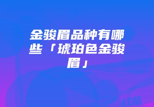 金骏眉品种有哪些「琥珀色金骏眉」