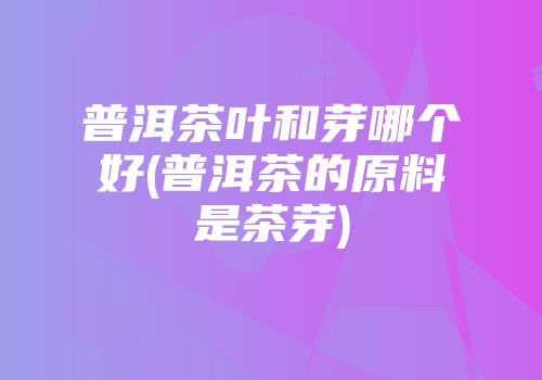 普洱茶叶和芽哪个好(普洱茶的原料是茶芽)