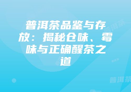 普洱茶品鉴与存放：揭秘仓味、霉味与正确醒茶之道