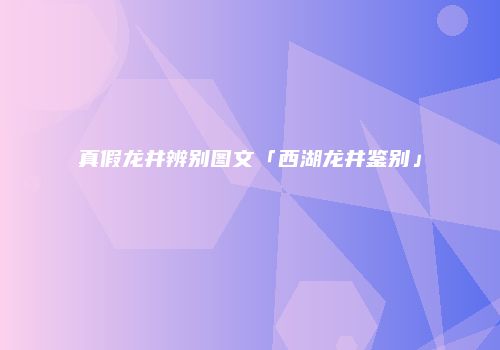 真假龙井辨别图文「西湖龙井鉴别」