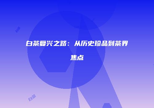 白茶复兴之路：从历史珍品到茶界焦点
