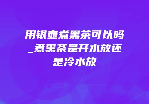 用银壶煮黑茶可以吗_煮黑茶是开水放还是冷水放