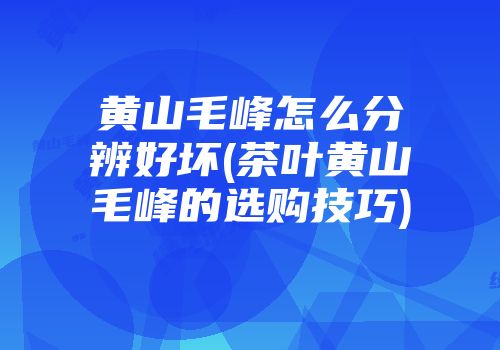 黄山毛峰怎么分辨好坏(茶叶黄山毛峰的选购技巧)
