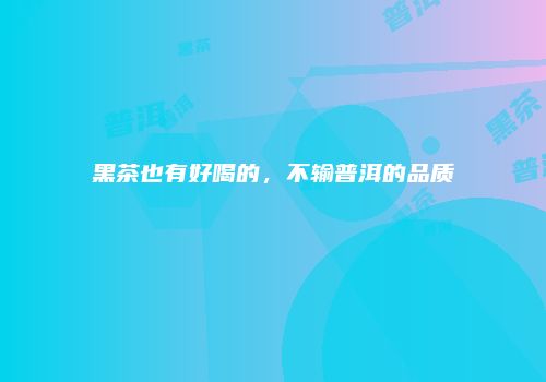 黑茶也有好喝的，不输普洱的品质