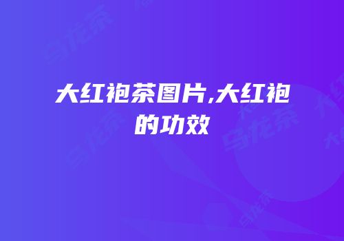 大红袍茶图片,大红袍的功效