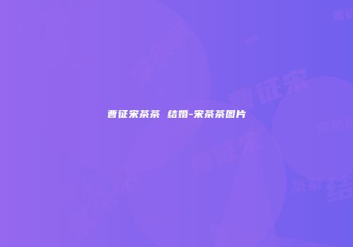 曹征宋茶茶 结婚-宋茶茶图片