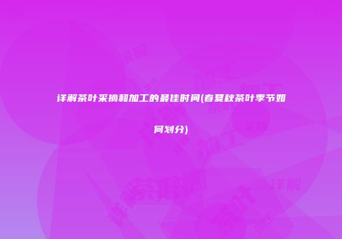 详解茶叶采摘和加工的最佳时间(春夏秋茶叶季节如何划分)