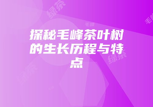 探秘毛峰茶叶树的生长历程与特点