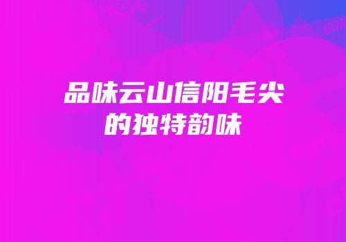 品味云山信阳毛尖的独特韵味