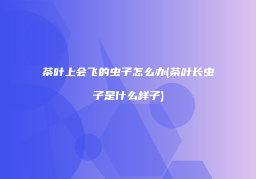 茶叶上会飞的虫子怎么办(茶叶长虫子是什么样子)
