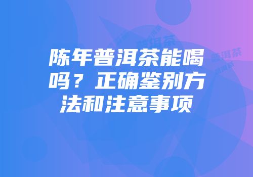陈年普洱茶能喝吗？正确鉴别方法和注意事项