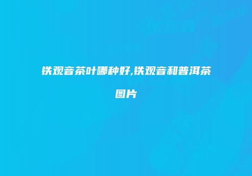铁观音茶叶哪种好,铁观音和普洱茶图片
