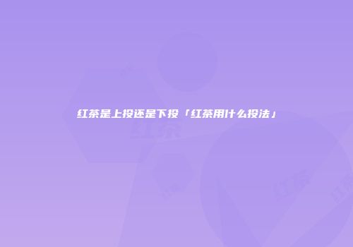 红茶是上投还是下投「红茶用什么投法」