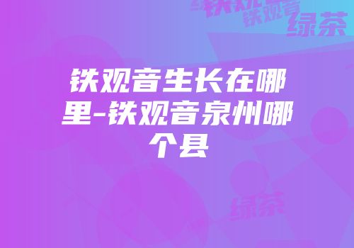 铁观音生长在哪里-铁观音泉州哪个县