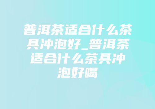 普洱茶适合什么茶具冲泡好_普洱茶适合什么茶具冲泡好喝