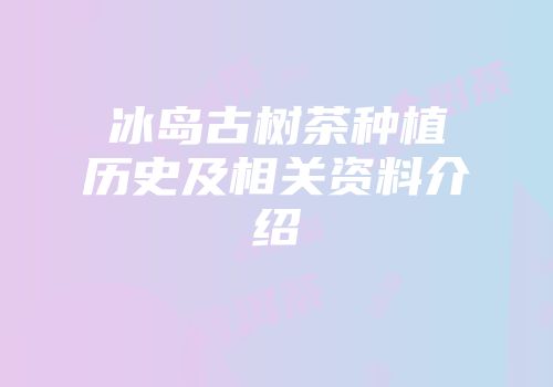 冰岛古树茶种植历史及相关资料介绍