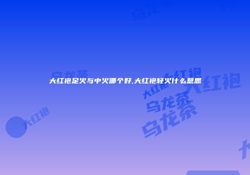 大红袍足火与中火哪个好,大红袍轻火什么意思