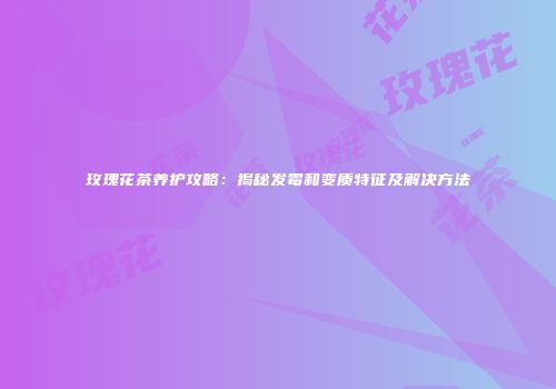 玫瑰花茶养护攻略：揭秘发霉和变质特征及解决方法