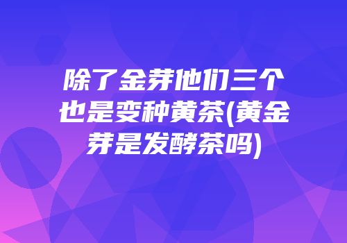 除了金芽他们三个也是变种黄茶(黄金芽是发酵茶吗)