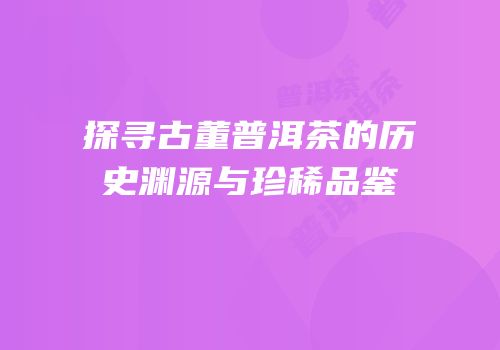 探寻古董普洱茶的历史渊源与珍稀品鉴