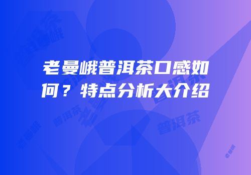 老曼峨普洱茶口感如何？特点分析大介绍