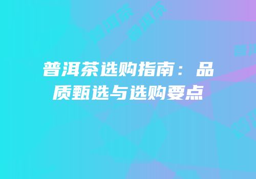 普洱茶选购指南：品质甄选与选购要点