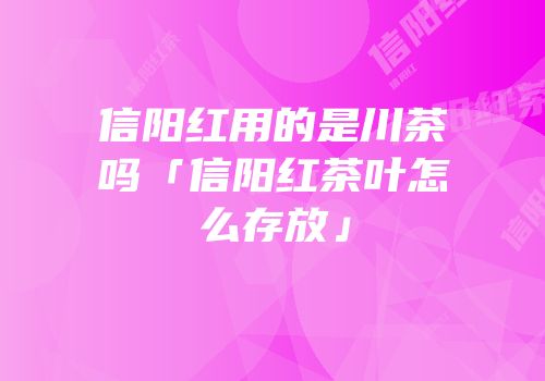 信阳红用的是川茶吗「信阳红茶叶怎么存放」