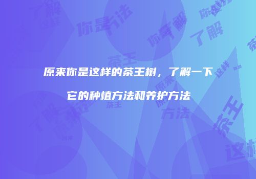 原来你是这样的茶王树，了解一下它的种植方法和养护方法