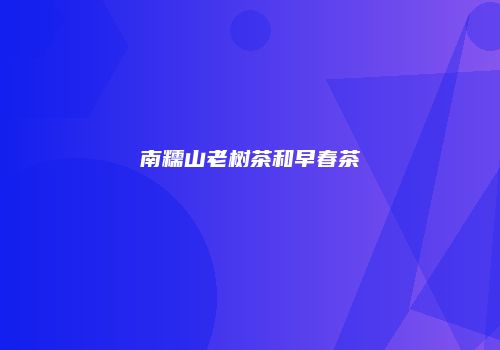 南糯山老树茶和早春茶