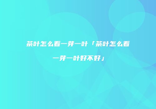 茶叶怎么看一芽一叶「茶叶怎么看一芽一叶好不好」