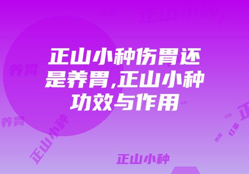 正山小种伤胃还是养胃,正山小种功效与作用
