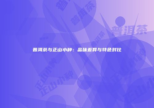 普洱茶与正山小种：品味差异与特色对比