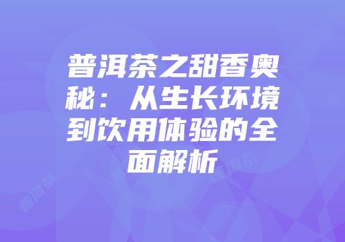 普洱茶之甜香奥秘：从生长环境到饮用体验的全面解析