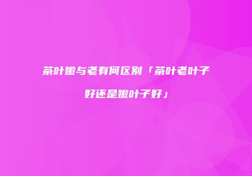 茶叶嫩与老有何区别「茶叶老叶子好还是嫩叶子好」