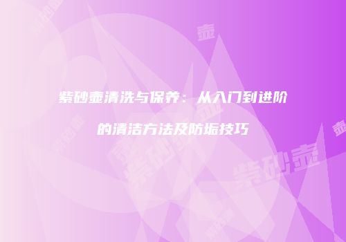 紫砂壶清洗与保养：从入门到进阶的清洁方法及防垢技巧