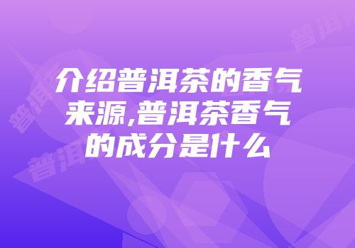 介绍普洱茶的香气来源,普洱茶香气的成分是什么