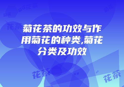 菊花茶的功效与作用菊花的种类,菊花分类及功效