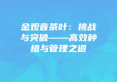金观音茶叶：挑战与突破——高效种植与管理之道