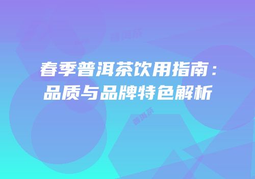 春季普洱茶饮用指南：品质与品牌特色解析