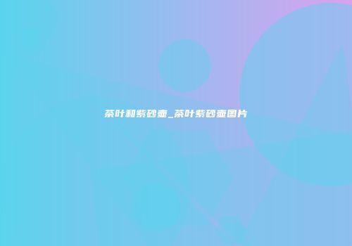 茶叶和紫砂壶_茶叶紫砂壶图片