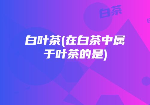 白叶茶(在白茶中属于叶茶的是)