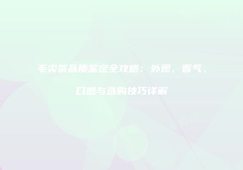 毛尖茶品质鉴定全攻略：外观、香气、口感与选购技巧详解