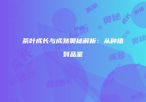 茶叶成长与成熟奥秘解析：从种植到品鉴